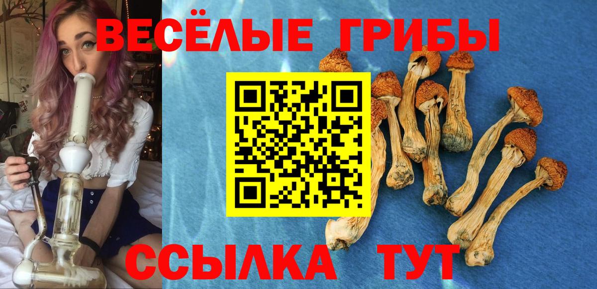 Галлюциногенные грибы GOLDEN TEACHER Надым